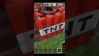 Which Block Save From TNT in Minecraft