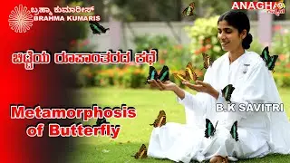 Life of Butterfly | Brahma Kumaris Rajyoga Kannada | ಚಿಟ್ಟೆಯ ರೂಪಾಂತರದ ಕಥೆ  BK Savitri