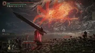 Solo Malenia with the guts build, no armor, no summons, no nothing.