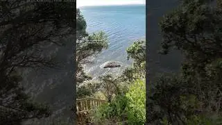 Army Bay, Whangaparāoa, New Zealand #auckland #newzealand #nz