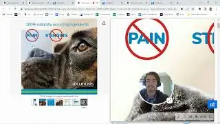 ASIN Review: Dr. Goodpet Eye-C All Natural Eye Drops for Dogs & Cats Zinc & Vitamin C - Amazon FBA