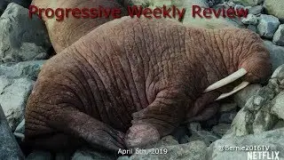 Progressive Weekly Review with Markus, Laura, Amos, and John