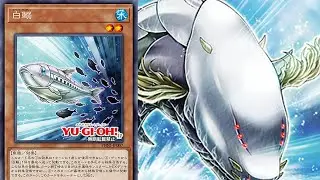 White Aura... FISHIES!