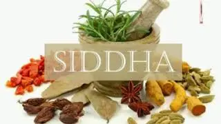 Values of Siddha in English - Dr.Harini Priya - Doctors Talk