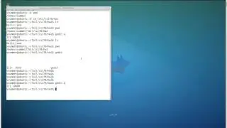 Write, Compile, and Run a Java Program