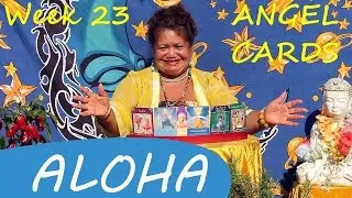Week 23 &bull; Omata Tutini's Angel Card Reading