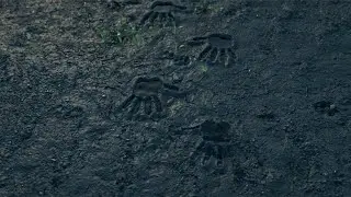 Death Stranding Hand Print Effect in C4D