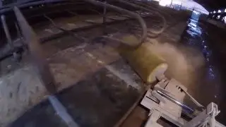 cow cubicle