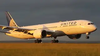 Super Sydney Plane Spotting @ Shep's Mound! Live Plane Spotting Highlights