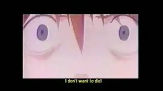 [VHS] Evangelion edit / 黄昏のBay City