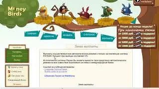 Money birds вывод денег 💸💰💰💸