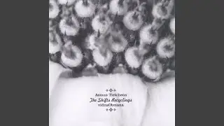T1: S1/1