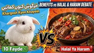 Benefits for rabbit meat|rabbit farming for meat khargosh khany k faide @Beautybasedaaina