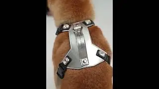 Luxury Gemstone Saddle Dog Harness #dogharness  #fashion #style