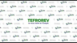 Anniversaire | TEFROREV Chaine 48 & Radio Changement 88.7 fm - Impact et r&eacute;ussite m&eacute;diatique