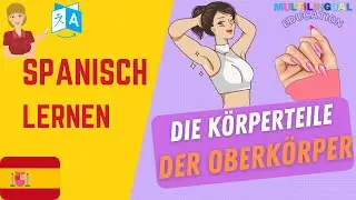 Der OBERK&Ouml;RPER auf Spanisch