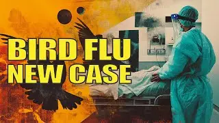 First Human H5N1 Bird Flu Case in China Since 2024 &ndash; Prepper's News - May 2025 Update