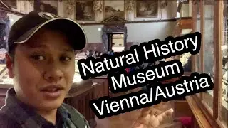 Natural History Museum, Vienna/Austria- Travel vlog 30