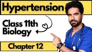 Hypertension (Cardiovascular Diseases) | Chapter 12 Circulation