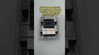 Ensure your #server runs cool under pressure with Lori&rsquo;s innovative cooling solutions!  #LoriCooler