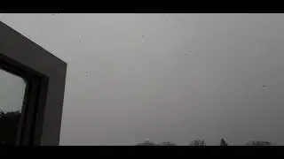 snow 2021