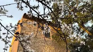 Церковь в цветах, февраль в #lloretdemar #spain #church #nature #mediterranean 