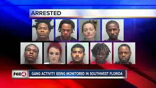 Suspected gang activity in SWFL