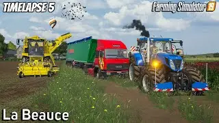 Selling Beets, grass silage w/ Vicon baler | Animals in La Beauce |Timelapse #5|Farming Simulator 19