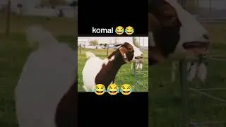 Komal name funny video 🤣#