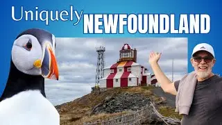 Discover Newfoundland's HIDDEN GEMS on this Epic Road Trip! (Eps. 3)