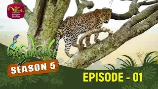 SOBADHARA - SEASON 05 | EPISODE -01 | 2023-05-13 | INTRODUCTION