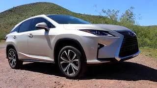 Arrowhead Lexus RX Out and About
