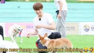 new run bts hindi dubbing //2024// bts play with dogs🐶