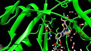 Molecular dynamics simulation of a ligand-protein complex