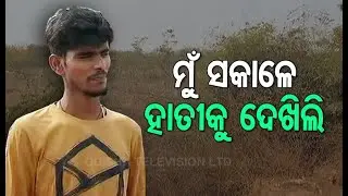 Wild Elephant Attack Creates Panic On Bhubaneswar Outskirts
