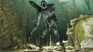 The Last Giant - DS2 SL1 No Roll/Sprint/Rings/Block/Parry/Damage