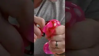 Break This Gummy Bear Squishy For $$$$