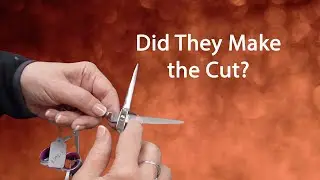 318608 Shear Sharpening Certification - 