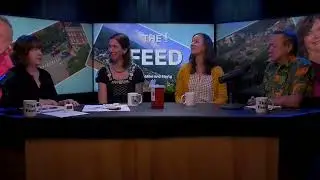 The Feed:Sojourns Spotlight  -  Dr.Kai Morrison