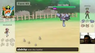 Krakenation Live Stream