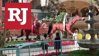 Bellagio Conservatory unveils Italian summer exhibit