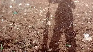 Estamos a la escucha.🦻🏾😂🐑🤠