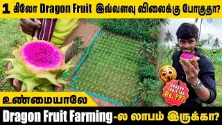 உண்மையாலே 🤔Dragon Fruit Farming-ல லாபம் இருக்கா? 💸| 1 கிலோ dragon fruit இவ்வளவு விலைக்கு போகுதா?😱