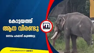 കോട്ടയത്ത് ആന വിരണ്ടു; ഒന്നാം പാപ്പാന് കുത്തേറ്റു | Kottayam | Elephant