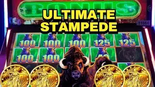 Пробуем НОВЫЙ игровой автомат Buffalo Gold! | Buffalo Ultimate Stampede