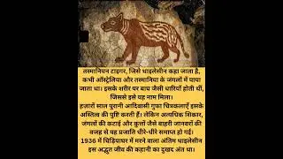 #facts #motivation #knowledgekite #india #history #forest #amezon