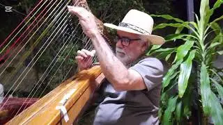 A LO LLANERO.   Romance en Capanaparo. Arpa, JOS&Eacute; VARGAS SANQUIS.