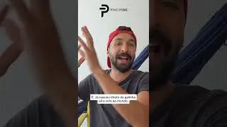 O que &eacute; uma commodity?