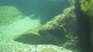 Tauchen mit dem Tauchsportclub Ravensburg in einem Zufluss des Lago Maggiore 02