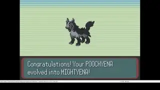 Pokemon Sapphire - 009 - Rock Smash, Poochyena Evolution and Path to Mauville